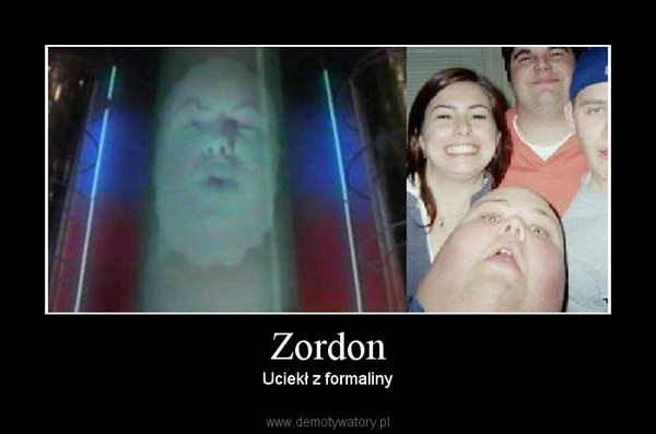 Zordon – Uciekł z formaliny 
