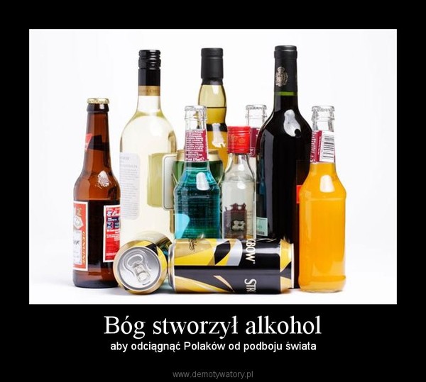 Bóg stworzył alkohol – aby odciągnąć Polaków od podboju świata 