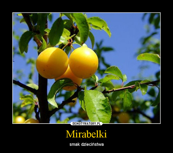 Mirabelki
