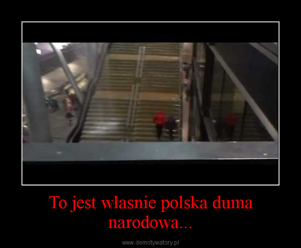 To jest własnie polska duma narodowa... –  