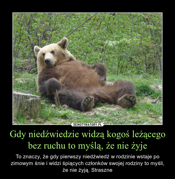 Gdy niedźwiedzie widzą kogoś leżącego bez ruchu to myślą, że nie żyje – To znaczy, że gdy pierwszy niedźwiedź w rodzinie wstaje po zimowym śnie i widzi śpiących członków swojej rodziny to myśli, że nie żyją. Straszne 