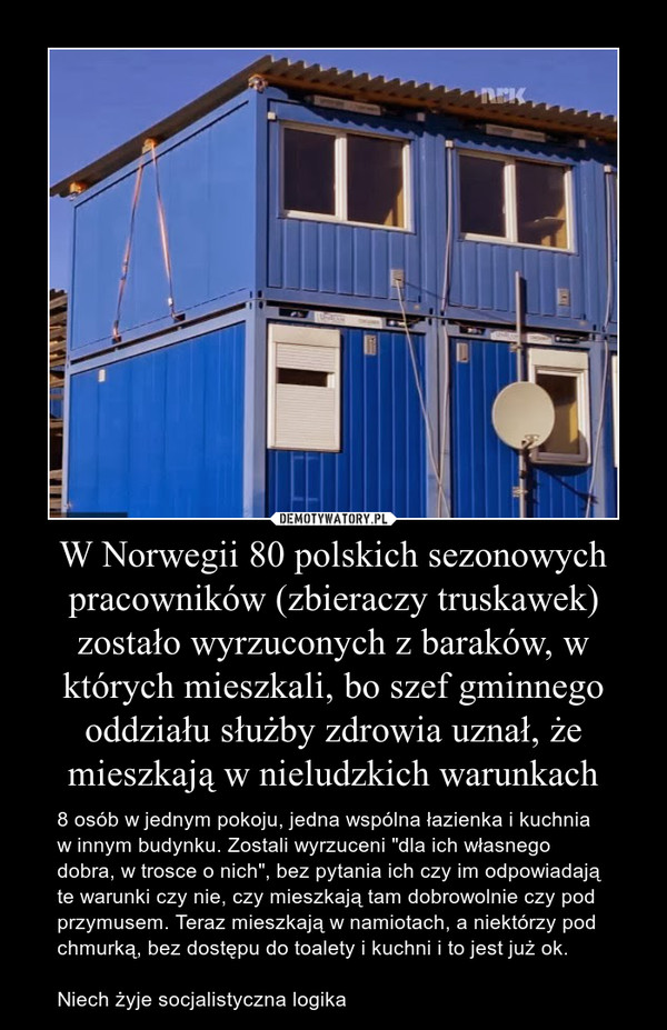 W Norwegii 80 polskich sezonowych pracowników (zbieraczy truskawek) zostało wyrzuconych z baraków, w których mieszkali, bo szef gminnego oddziału służby zdrowia uznał, że mieszkają w nieludzkich warunkach