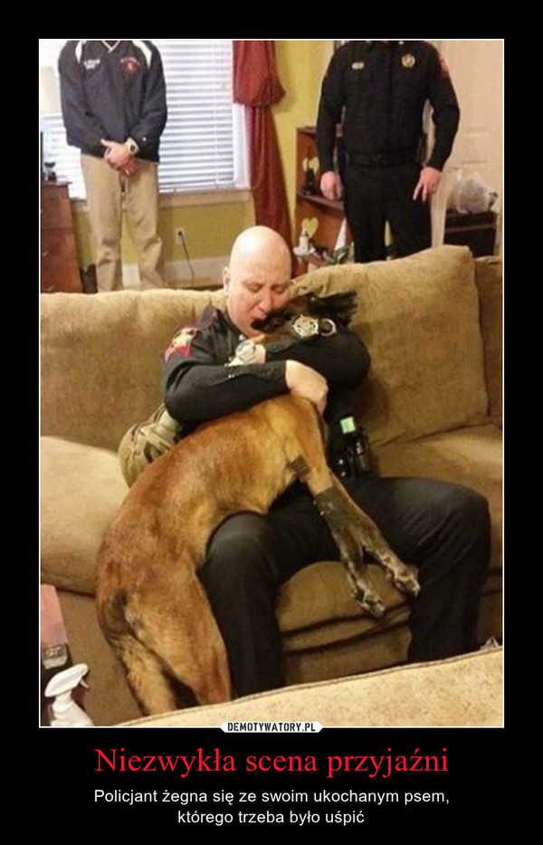 Niezwykła scena przyjaźni – Policjant żegna się ze swoim ukochanym psem,którego trzeba było uśpić 