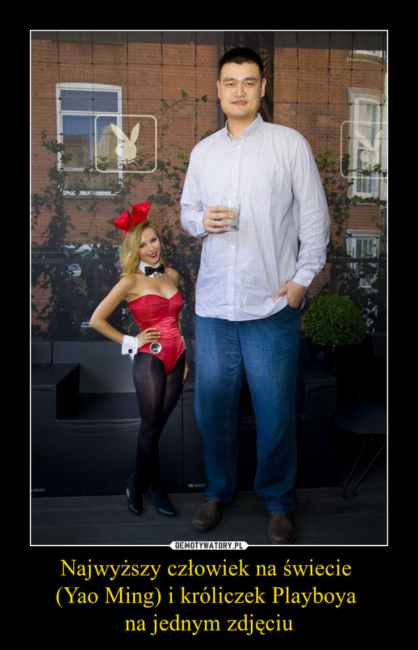 Najwyższy człowiek na świecie (Yao Ming) i króliczek Playboya na jednym zdjęciu –  