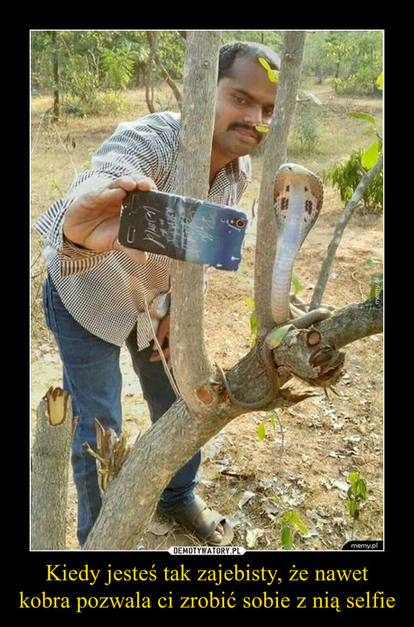 Kiedy jesteś tak zajebisty, że nawet kobra pozwala ci zrobić sobie z nią selfie –  