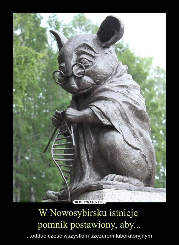 W Nowosybirsku istnieje pomnik postawiony, aby... – ...oddać cześć wszystkim szczurom laboratoryjnym 