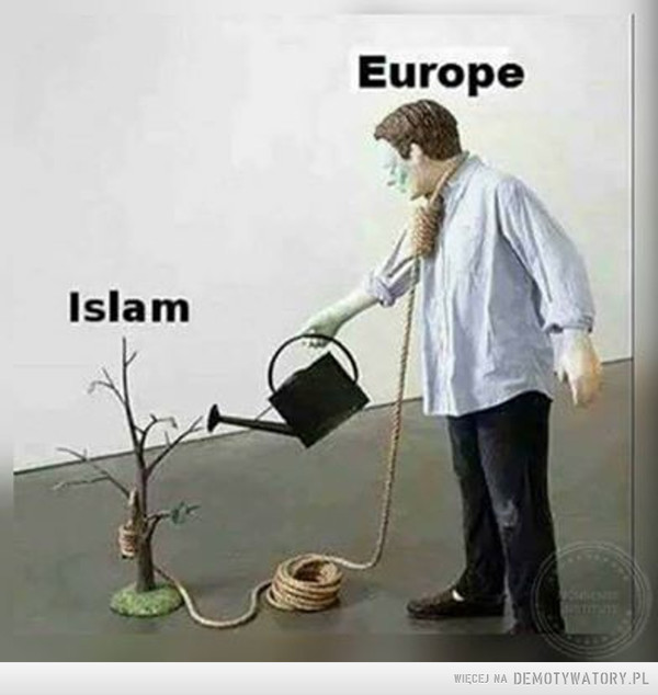 Tak to wygląda –  Islam Europe