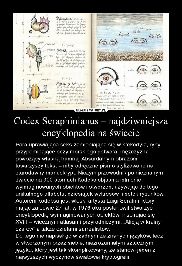 Codex Seraphinianus – najdziwniejsza encyklopedia na świecie