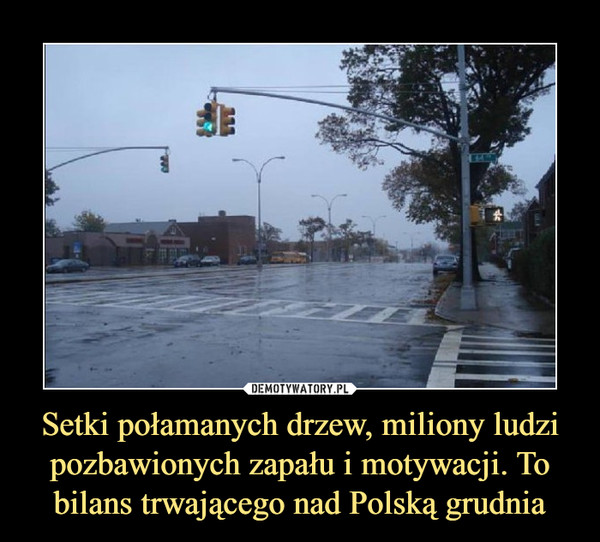 Setki połamanych drzew, miliony ludzi pozbawionych zapału i motywacji. To bilans trwającego nad Polską grudnia –  