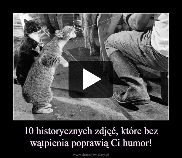 10 historycznych zdjęć, które bez wątpienia poprawią Ci humor! –  