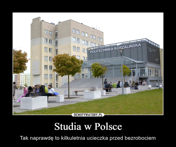 Studia w Polsce – Tak naprawdę to kilkuletnia ucieczka przed bezrobociem 
