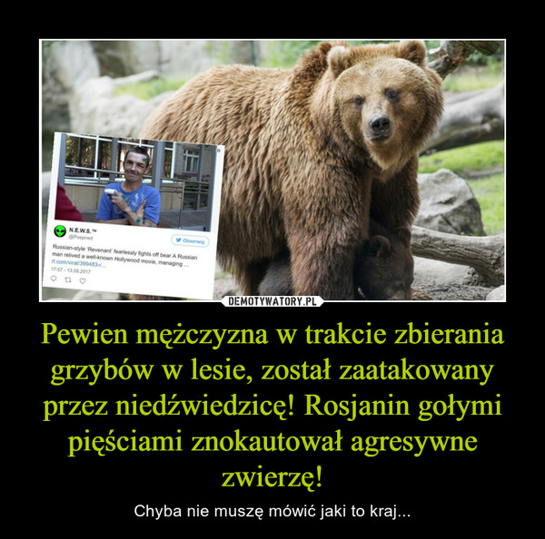 Pewien mężczyzna w trakcie zbierania grzybów w lesie, został zaatakowany przez niedźwiedzicę! Rosjanin gołymi pięściami znokautował agresywne zwierzę! – Chyba nie muszę mówić jaki to kraj... 