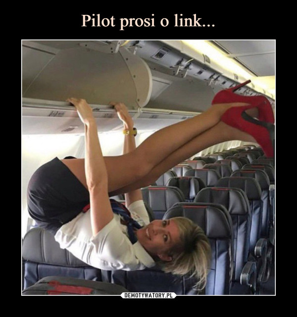 Pilot prosi o link...