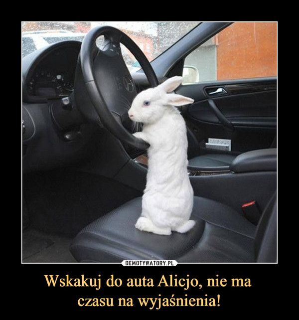 Wskakuj do auta Alicjo, nie ma czasu na wyjaśnienia! –  