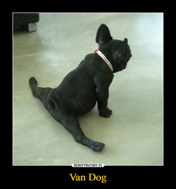 Van Dog –  