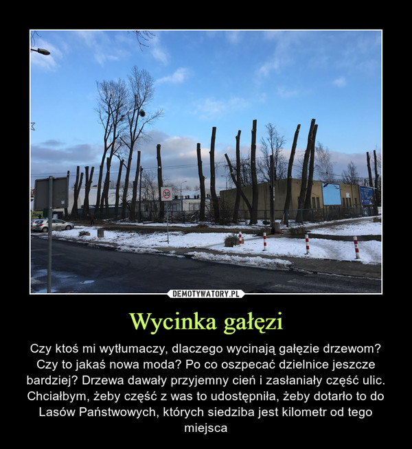 Wycinka gałęzi – Czy ktoś mi wytłumaczy, dlaczego wycinają gałęzie drzewom? Czy to jakaś nowa moda? Po co oszpecać dzielnice jeszcze bardziej? Drzewa dawały przyjemny cień i zasłaniały część ulic. Chciałbym, żeby część z was to udostępniła, żeby dotarło to do Lasów Państwowych, których siedziba jest kilometr od tego miejsca 