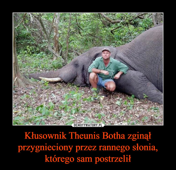 Kłusownik Theunis Botha zginął przygnieciony przez rannego słonia, którego sam postrzelił –  