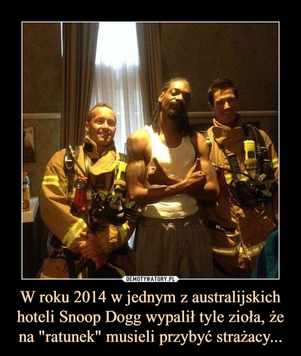 W roku 2014 w jednym z australijskich hoteli Snoop Dogg wypalił tyle zioła, że na "ratunek" musieli przybyć strażacy... –  