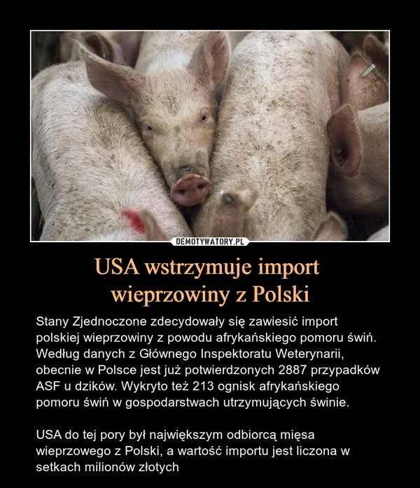 USA wstrzymuje import 
wieprzowiny z Polski