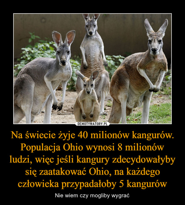 Na świecie żyje 40 milionów kangurów. Populacja Ohio wynosi 8 milionów ludzi, więc jeśli kangury zdecydowałyby się zaatakować Ohio, na każdego człowieka przypadałoby 5 kangurów – Nie wiem czy mogliby wygrać 