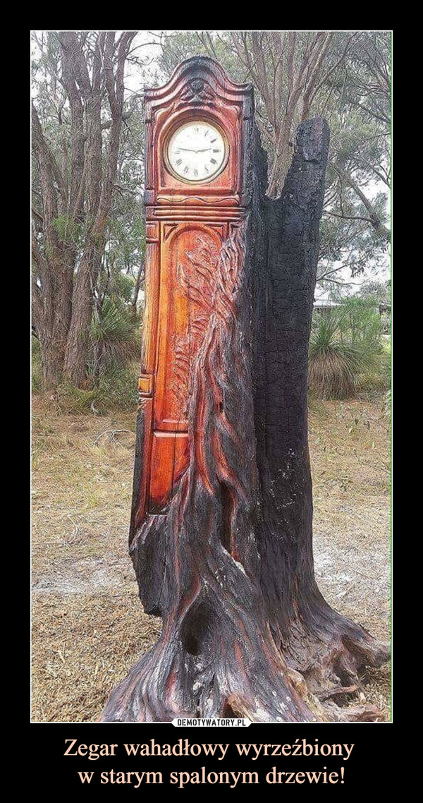 Zegar wahadłowy wyrzeźbiony w starym spalonym drzewie! –  
