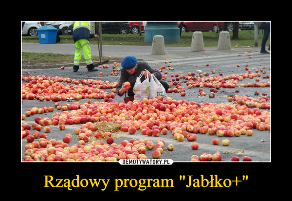 Rządowy program "Jabłko+" –  