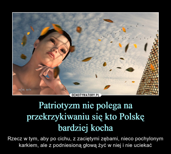 Patriotyzm nie polega na przekrzykiwaniu się kto Polskę
bardziej kocha