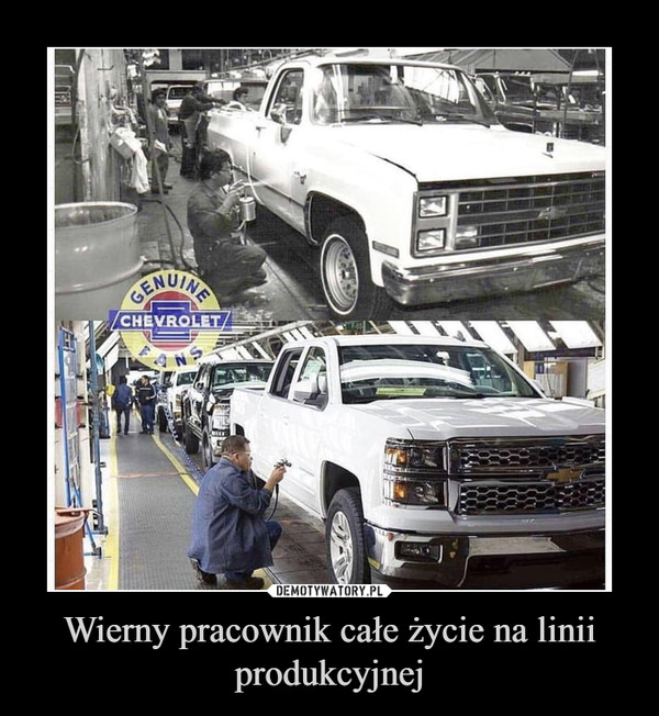 Wierny pracownik całe życie na linii produkcyjnej –  