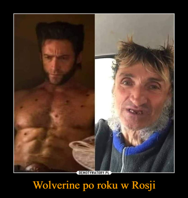 Wolverine po roku w Rosji