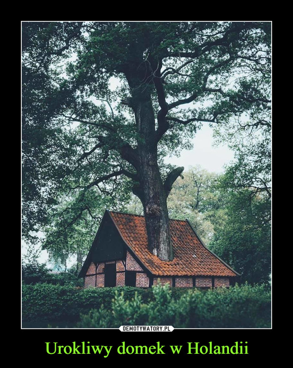 Urokliwy domek w Holandii –  