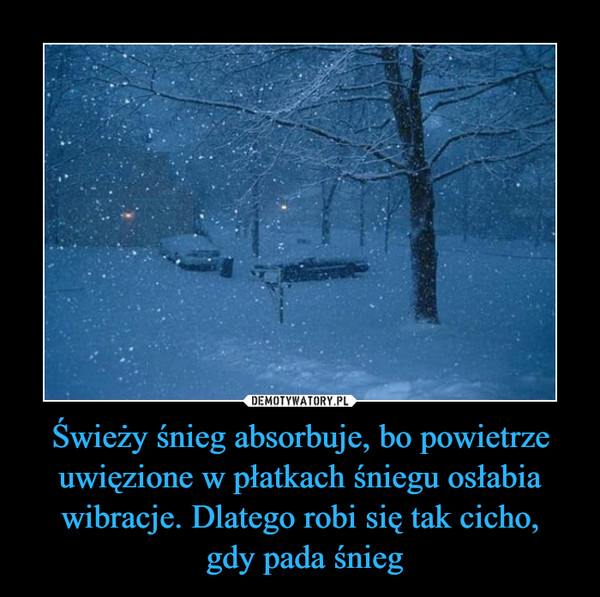 Świeży śnieg absorbuje, bo powietrze uwięzione w płatkach śniegu osłabia wibracje. Dlatego robi się tak cicho, gdy pada śnieg –  