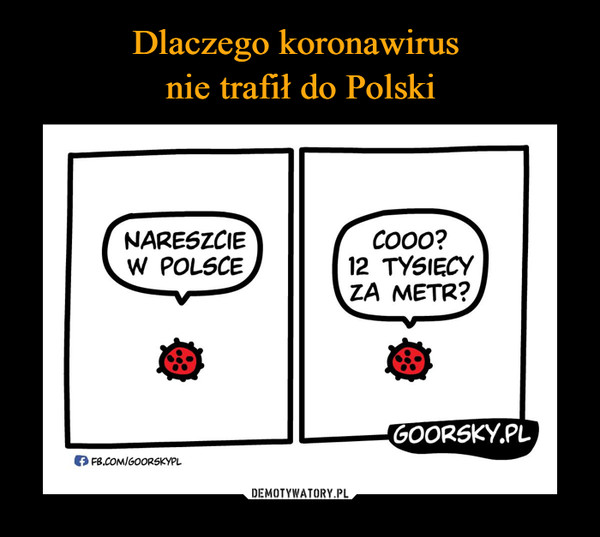 Dlaczego koronawirus 
nie trafił do Polski