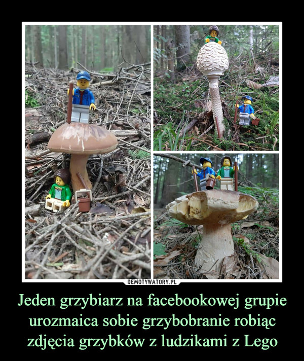 Jeden grzybiarz na facebookowej grupie urozmaica sobie grzybobranie robiąc zdjęcia grzybków z ludzikami z Lego