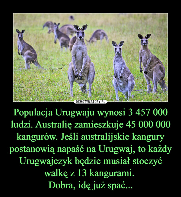 Populacja Urugwaju wynosi 3 457 000 ludzi. Australię zamieszkuje 45 000 000 kangurów. Jeśli australijskie kangury postanowią napaść na Urugwaj, to każdy Urugwajczyk będzie musiał stoczyć walkę z 13 kangurami. Dobra, idę już spać... –  