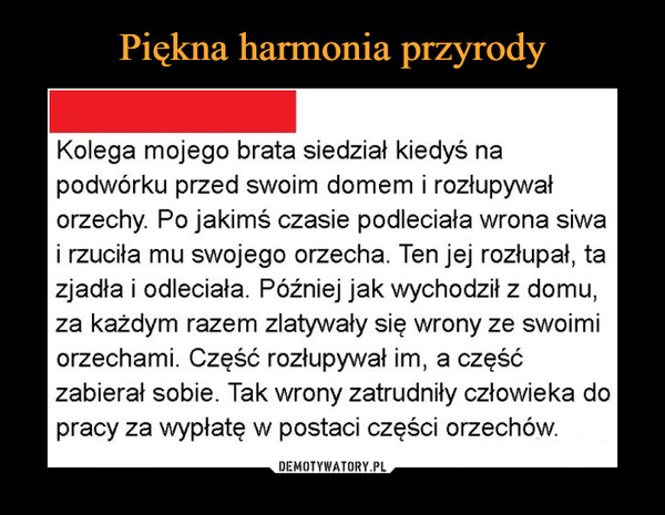  –  Piękna harmonia przyrodyKolega mojego brata siedział kiedyś napodwórku przed swoim domem i rozłupywałorzechy. Po jakimś czasie podleciała wrona siwai rzuciła mu swojego orzecha. Ten jej rozłupał, tazjadła i odleciała. Później jak wychodził z domu,za każdym razem zlatywały się wrony ze swoimiorzechami. Część rozłupywał im, a częśćzabierał sobie. Tak wrony zatrudniły człowieka dopracy za wypłatę w postaci części orzechów.DEMOTYWATORY.PL