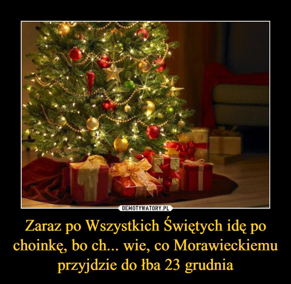 Zaraz po Wszystkich Świętych idę po choinkę, bo ch... wie, co Morawieckiemu przyjdzie do łba 23 grudnia –  