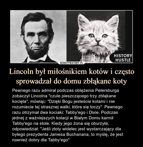 Lincoln był miłośnikiem kotów i często sprowadzał do domu zbłąkane koty