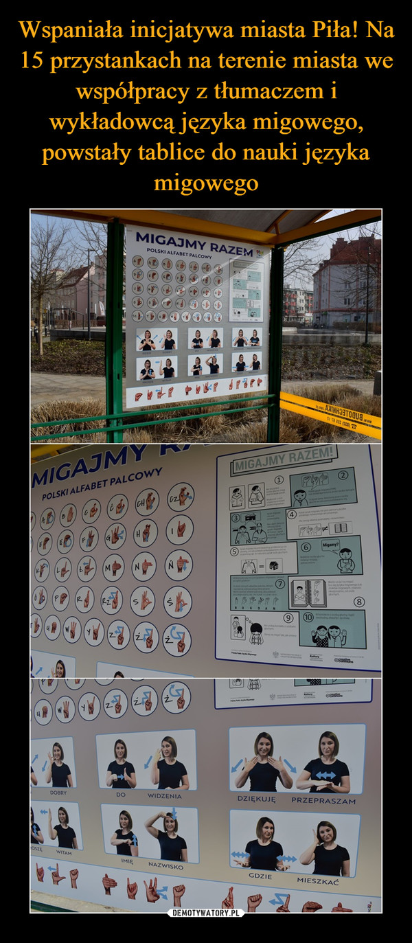 Wspaniała inicjatywa miasta Piła! Na 15 przystankach na terenie miasta we współpracy z tłumaczem i wykładowcą języka migowego, powstały tablice do nauki języka migowego