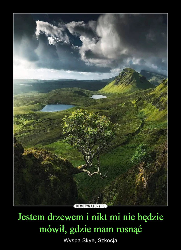 Jestem drzewem i nikt mi nie będzie mówił, gdzie mam rosnąć – Wyspa Skye, Szkocja 