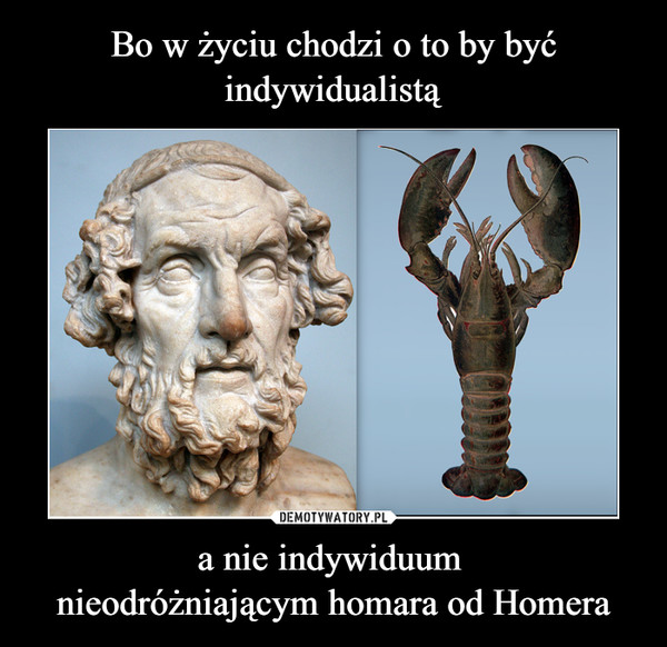 Bo w życiu chodzi o to by być indywidualistą a nie indywiduum 
nieodróżniającym homara od Homera