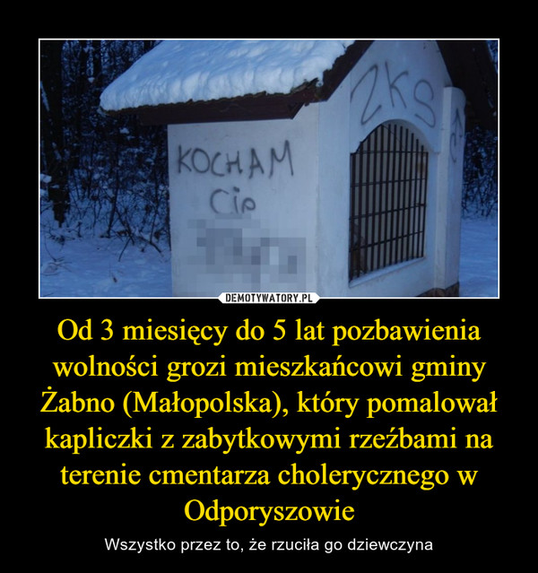 Od 3 miesięcy do 5 lat pozbawienia wolności grozi mieszkańcowi gminy Żabno (Małopolska), który pomalował kapliczki z zabytkowymi rzeźbami na terenie cmentarza cholerycznego w Odporyszowie