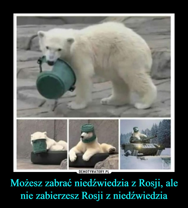 Możesz zabrać niedźwiedzia z Rosji, ale nie zabierzesz Rosji z niedźwiedzia –  