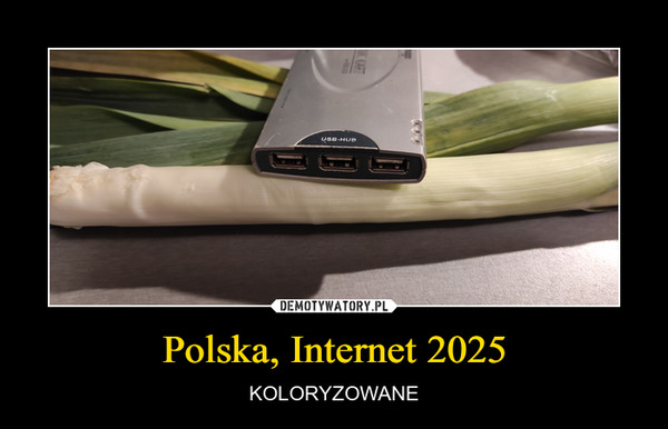 Polska, Internet 2025 – KOLORYZOWANE 