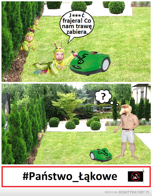 Nie zabieraj trawy gąsieniczkom!