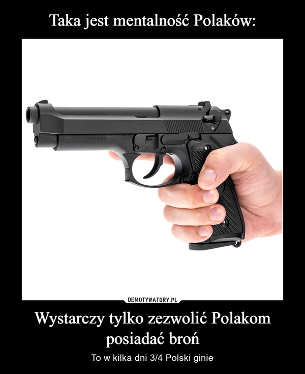 Wystarczy tylko zezwolić Polakom posiadać broń – To w kilka dni 3/4 Polski ginie 