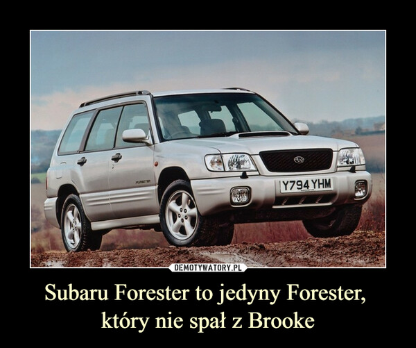 Subaru Forester to jedyny Forester, który nie spał z Brooke –  