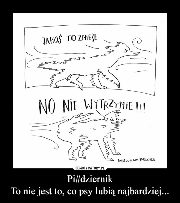 Pi#dziernikTo nie jest to, co psy lubią najbardziej... –  