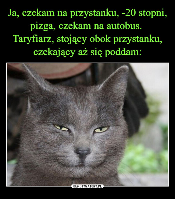  –  