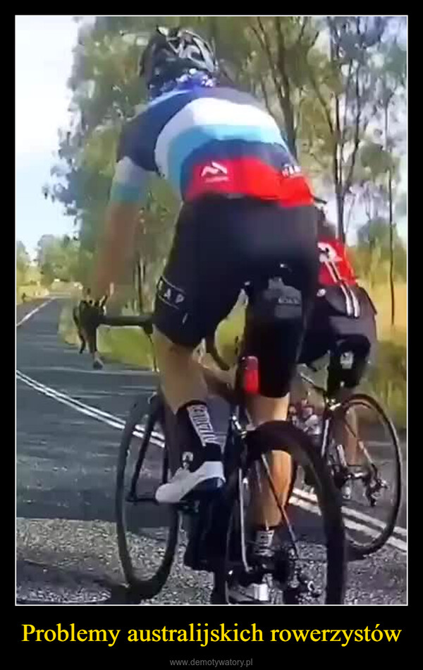 Problemy australijskich rowerzystów –  