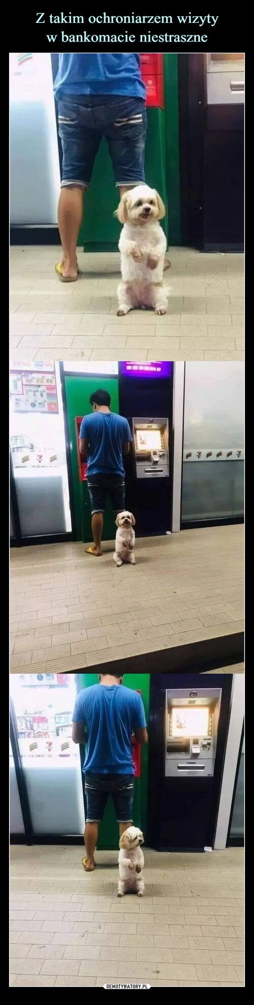 Z takim ochroniarzem wizyty
w bankomacie niestraszne
